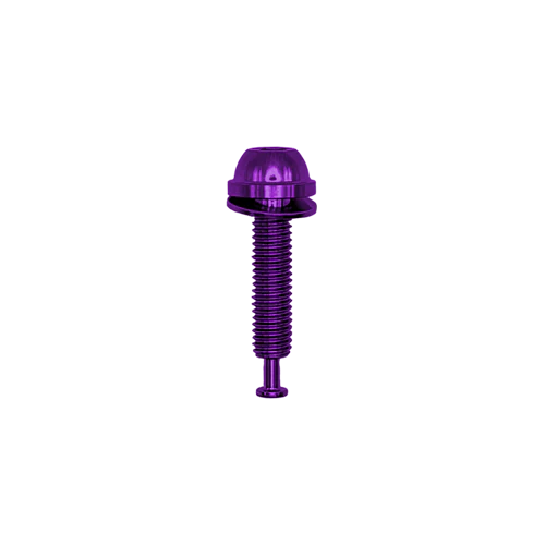 24mm Shimano SLX BR-M7110, XT BR-M8110, XTR BR-M9110 Flatmount Titanium Caliper Bolts Purple